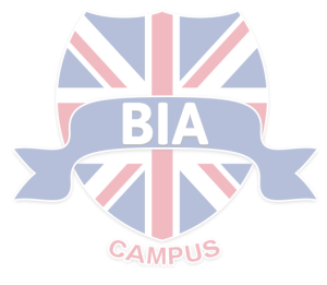 An esteemed institution in Kuwait, Britain International Academy offers technical, creative, and academic courses with international recognition.